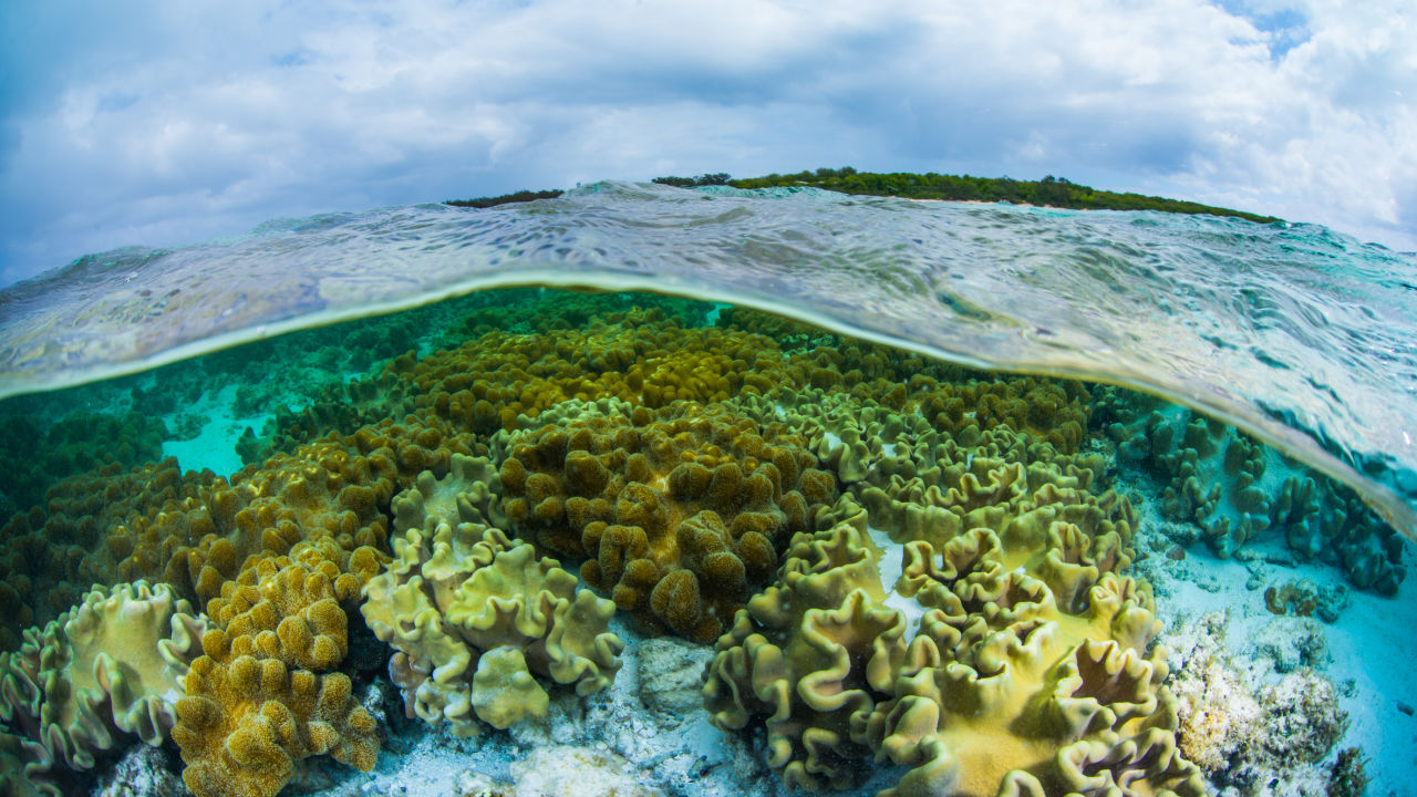 Great Barrier Reef Marine Park Authority