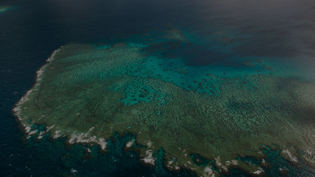 Over $19 million of Reef Trust Partnership Water Quality Grants for Regional Queensland 