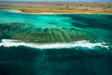 Reef Trust Partnership