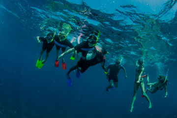 Volunteers making a world of difference to the Reef