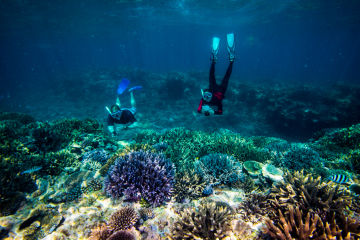 $700,000 in community grants to support citizen science Reef monitoring