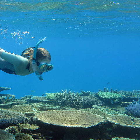 Lagoons of New Caledonia