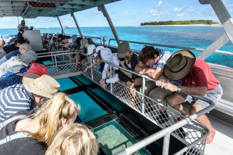 Lady Musgrave Reef Custodians