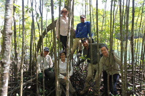 Protecting wetlands for the future