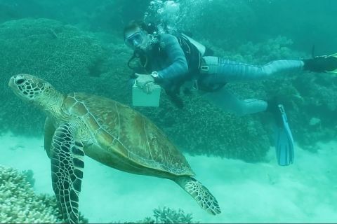 Integrated coral reef citizen science